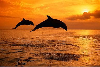 《Cafe DReAMLAND》登陆Steam 探索多重结局ADV